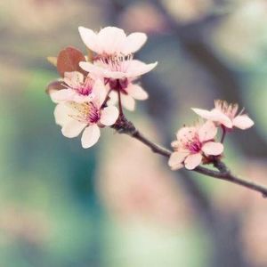 Meet your Posher, Karina